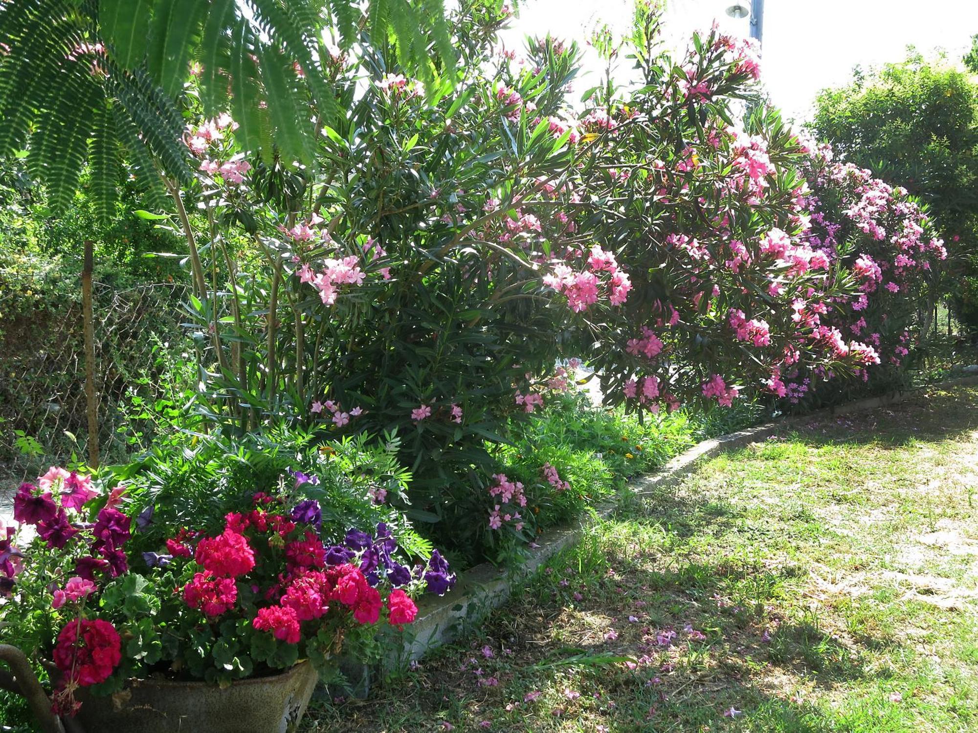 Thanasis Matsas Rooms Kamariotissa Exterior foto
